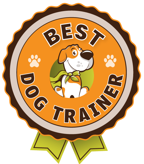 dog training,dog trainer,obedience training | Fresno, Clovis, Chowchilla, Madera, Visalia, Tulare, Hanford